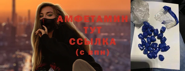 ГАЛЛЮЦИНОГЕННЫЕ ГРИБЫ Баксан